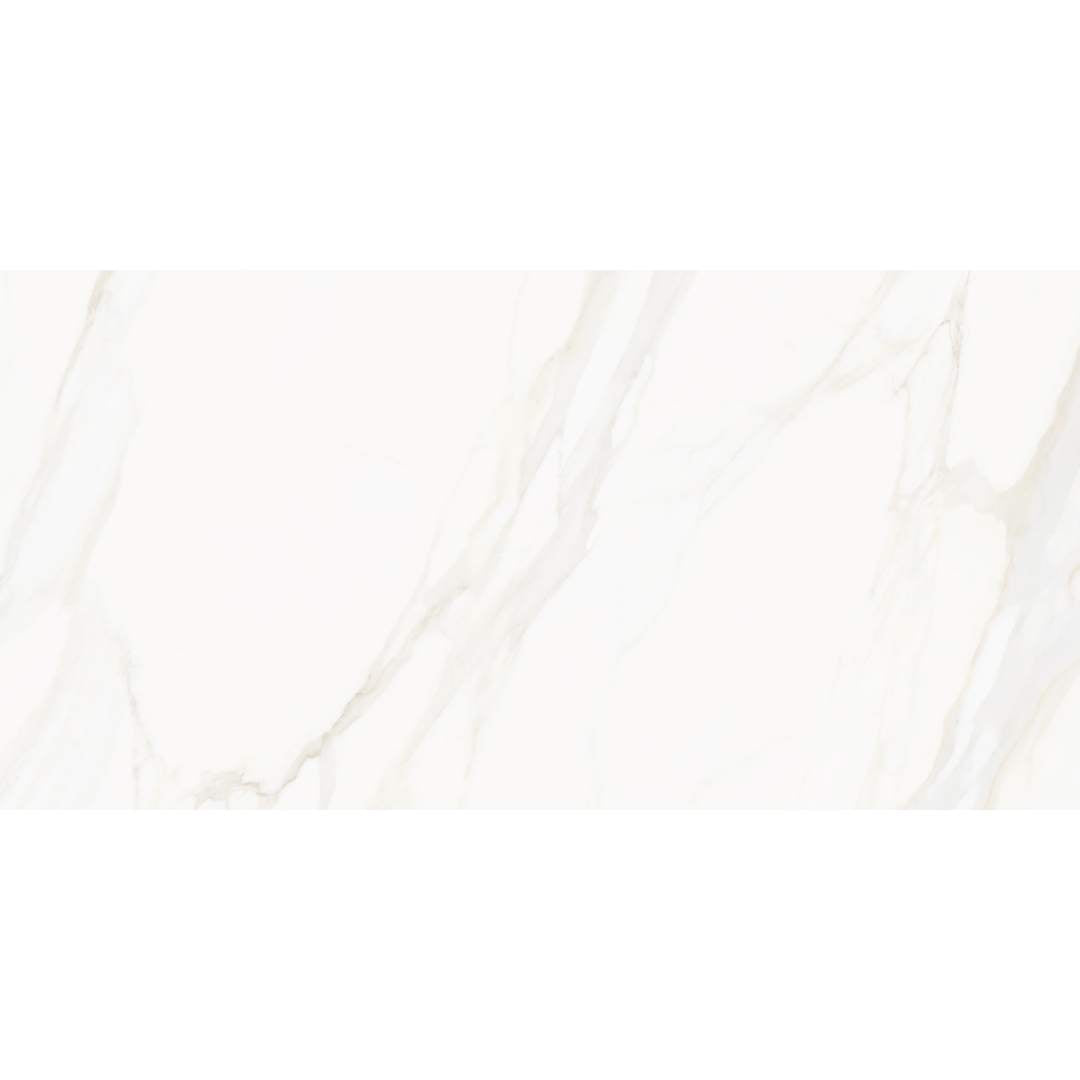 Savannah 24"x48" Porcelain Polished Tile