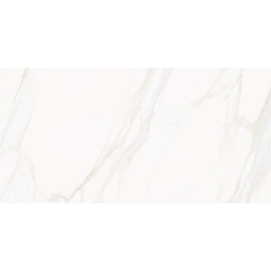 Savannah 24"x48" Porcelain Polished Tile