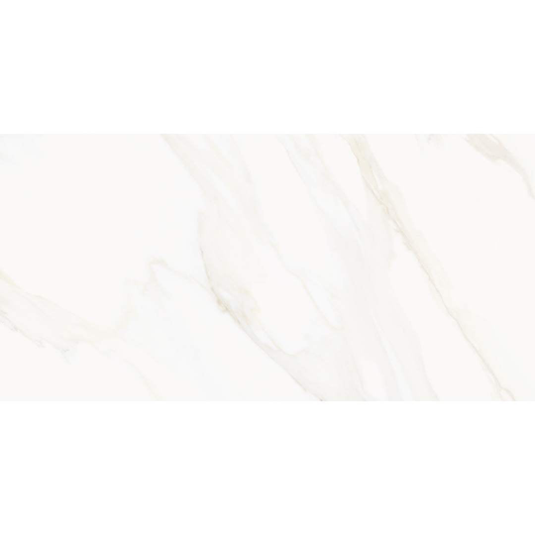 Savannah 24"x48" Porcelain Polished Tile