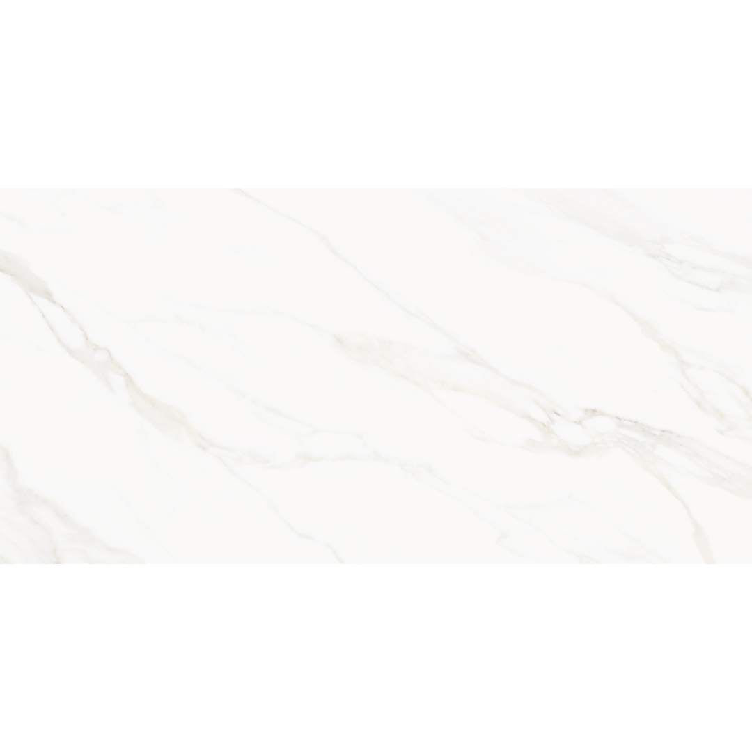 Savannah 24"x48" Porcelain Satin Tile