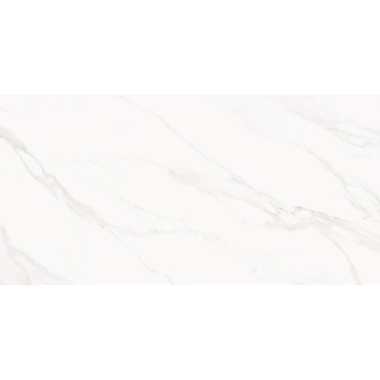 Savannah 24"x48" Porcelain Satin Tile