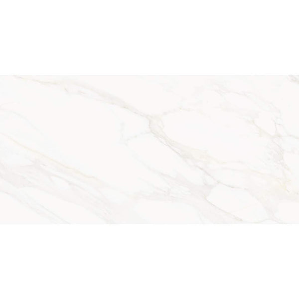 Savannah 24"x48" Porcelain Satin Tile