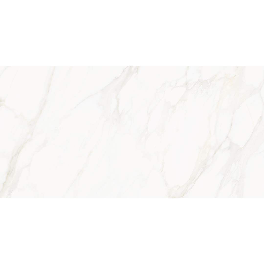 Savannah 24" x 48" Porcelain Satin Tile