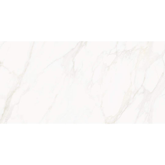 Savannah 24" x 48" Porcelain Satin Tile