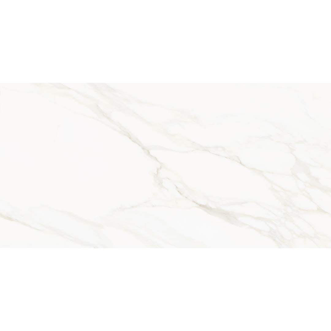 Savannah 24"x48" Porcelain Satin Tile