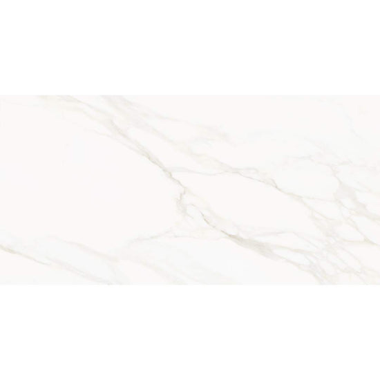Savannah 24"x48" Porcelain Satin Tile