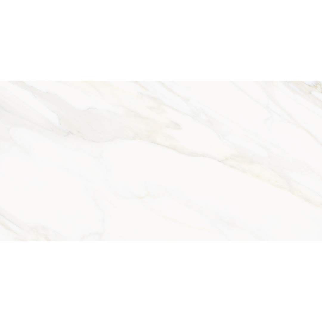 Savannah 24"x48" Porcelain Satin Tile