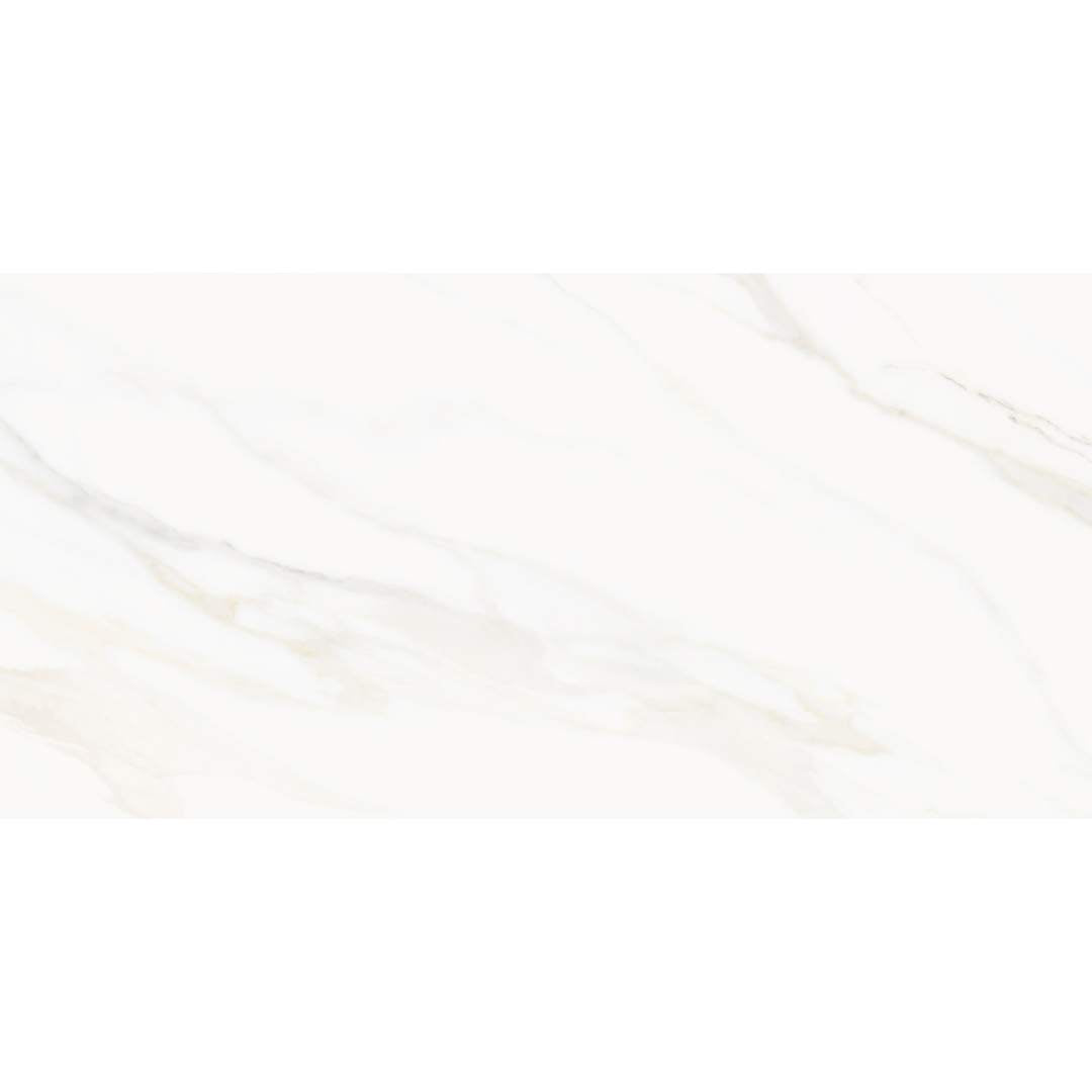Savannah 24" x 48" Porcelain Satin Tile