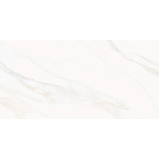 Savannah 24" x 48" Porcelain Satin Tile