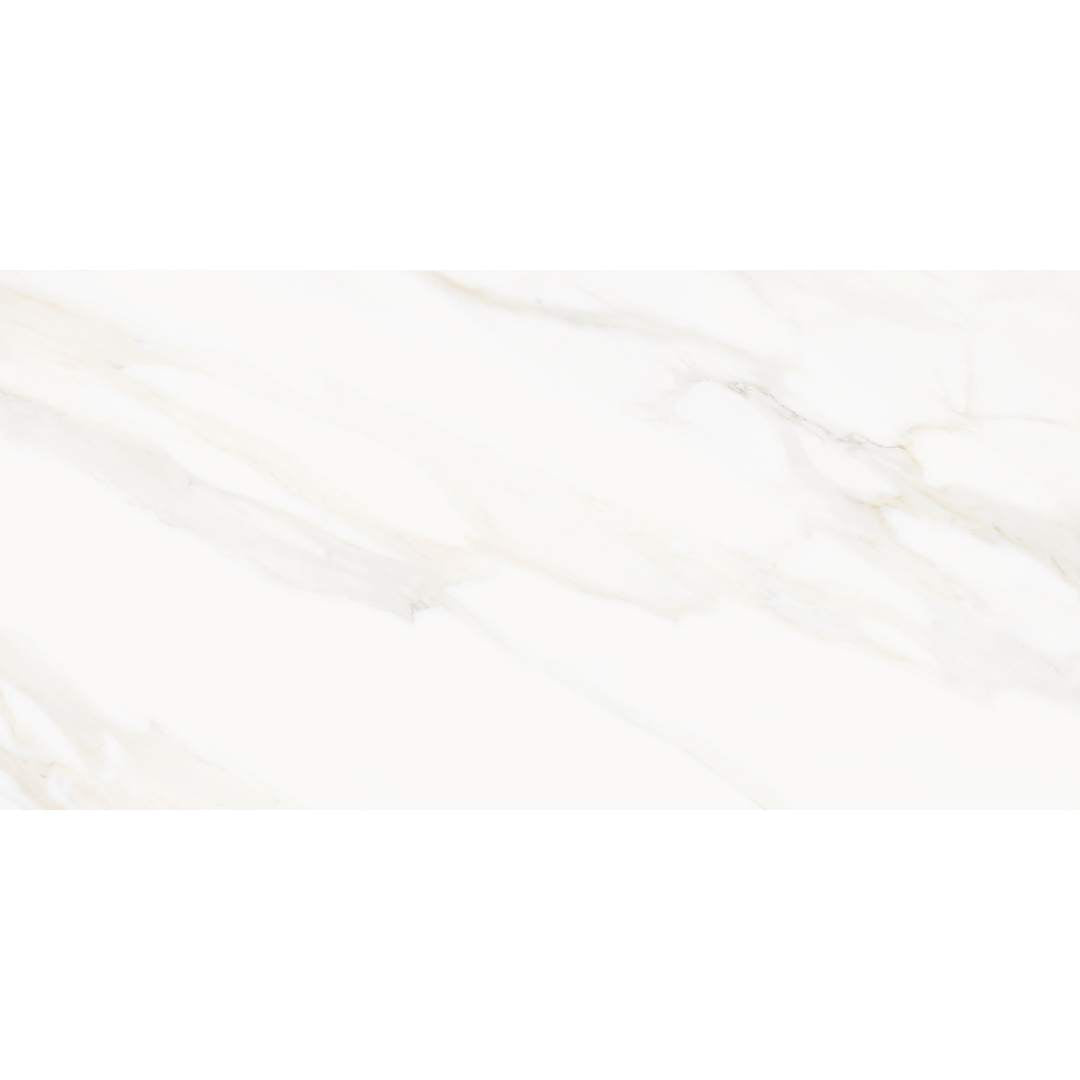 Savannah 24"x48" Porcelain Satin Tile