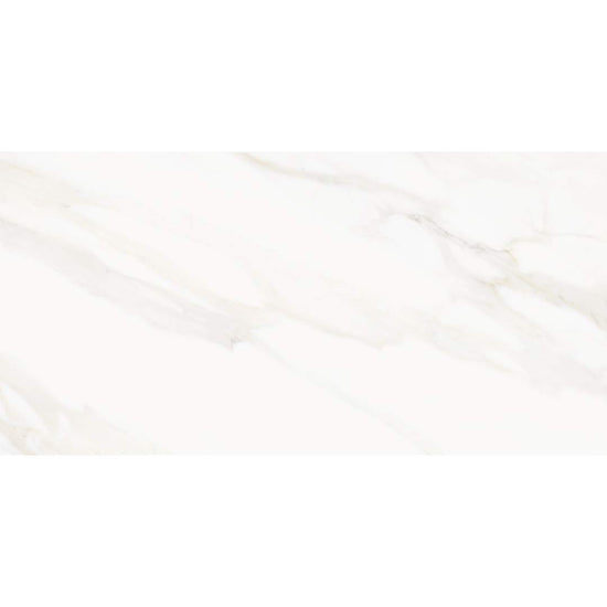 Savannah 24"x48" Porcelain Satin Tile