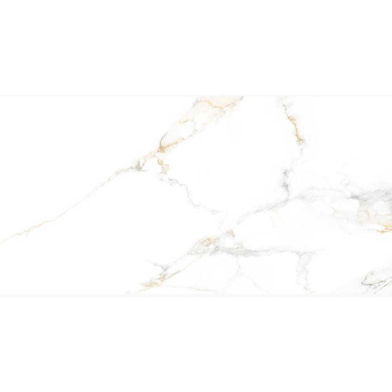Altea 24"x48" Bianco Porcelain Polished Tile