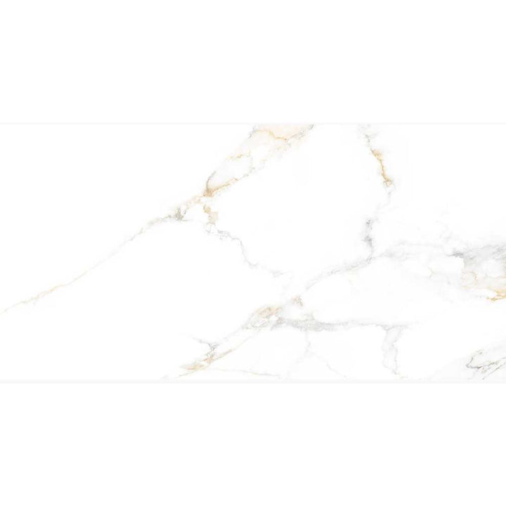 Altea 24"x48" Bianco Porcelain Polished Tile