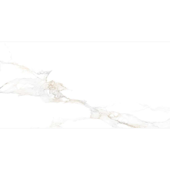 Altea 24"x48" Bianco Porcelain Polished Tile