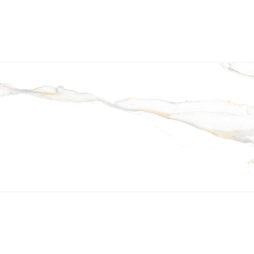 Altea 24"x48" Bianco Porcelain Polished Tile