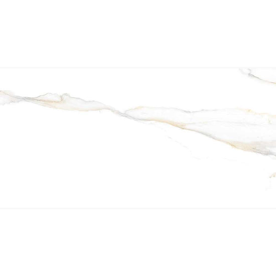 Altea 24"x48" Bianco Porcelain Polished Tile