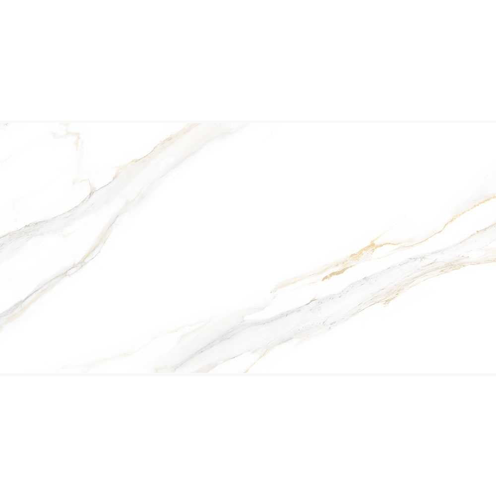 Altea 24"x48" Bianco Porcelain Polished Tile