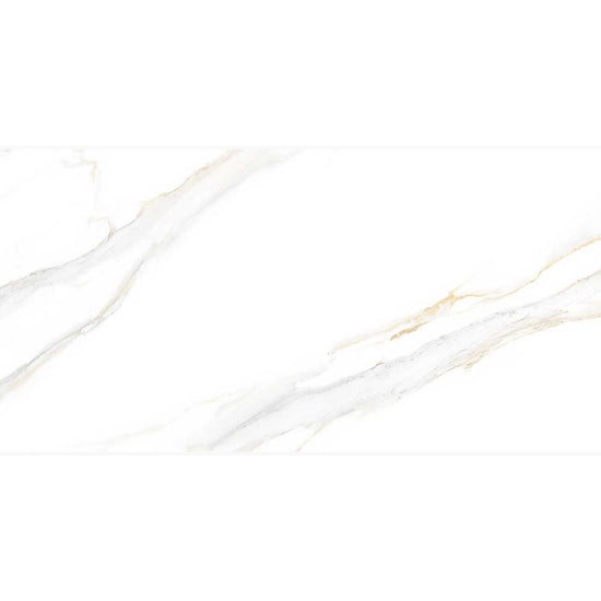 Altea 24"x48" Bianco Porcelain Polished Tile