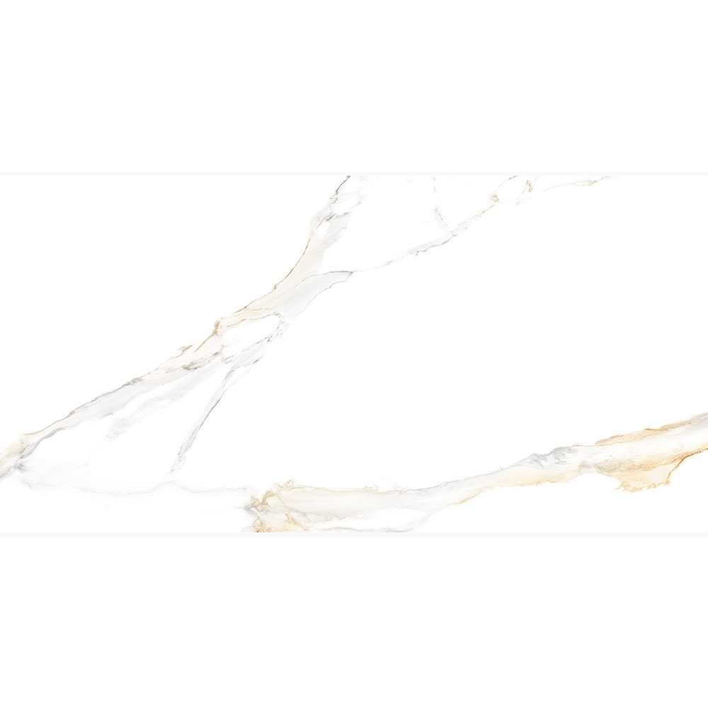 Altea 24"x48" Bianco Porcelain Polished Tile