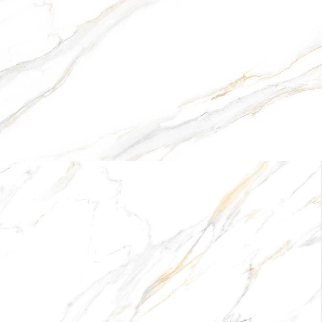 Altea 24"x48" Bianco Porcelain Polished Tile