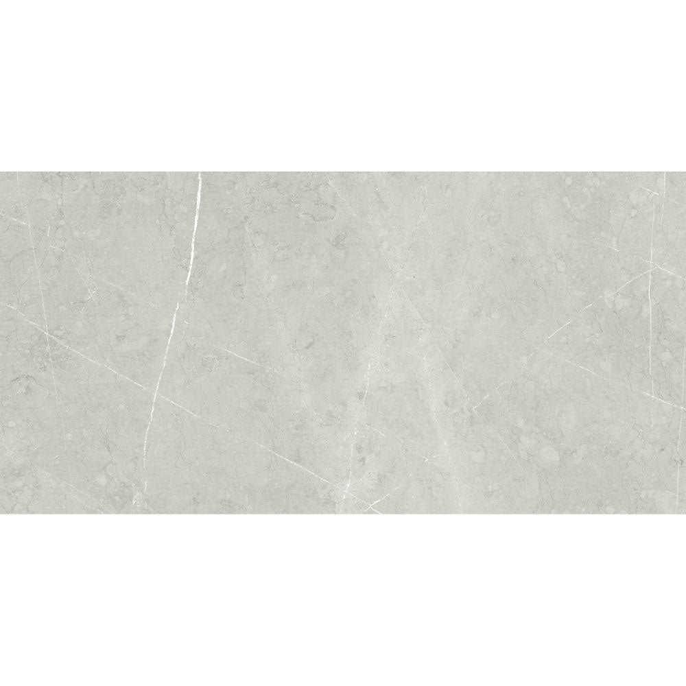 Alastair 24"x48" Silver Porcelain Polished Tile