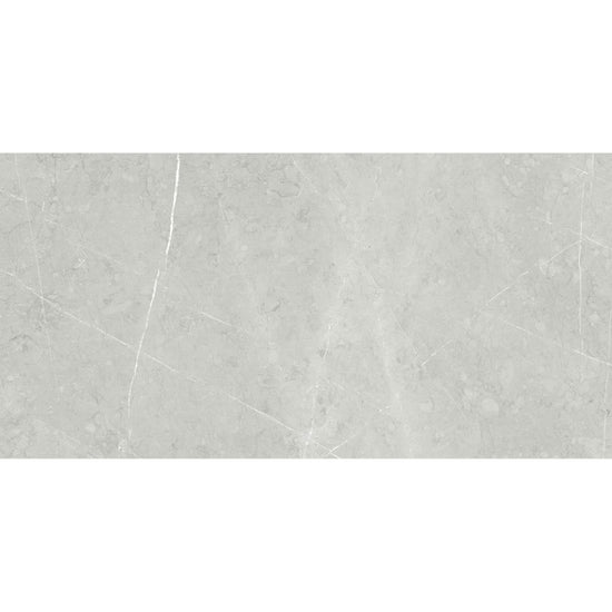Alastair 24" x 48" Floor & Wall Tile